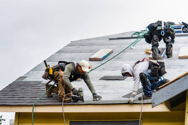 Professional Gutter Installation technician working in Arlington, MN